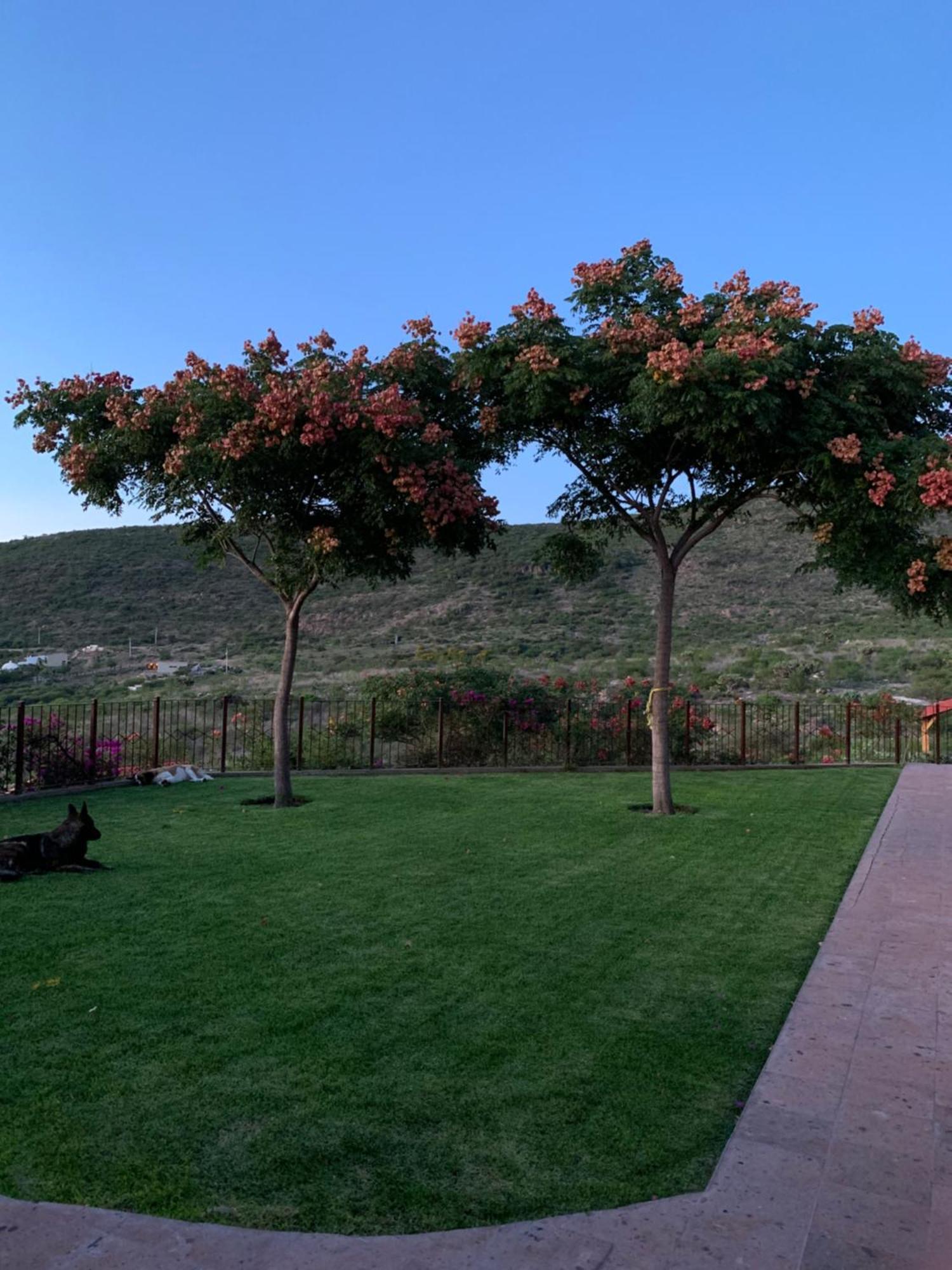 Villa Campestre La Soledad Colon المظهر الخارجي الصورة