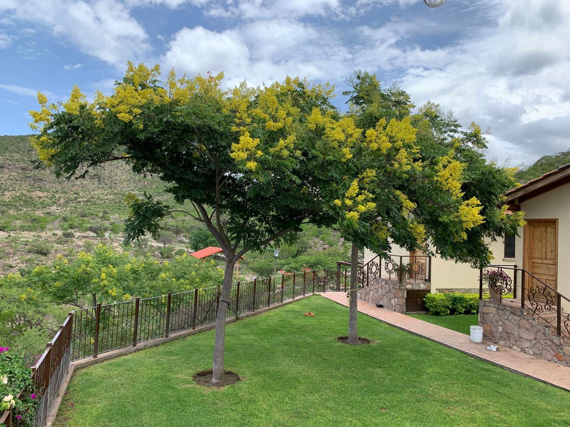 Villa Campestre La Soledad Colon المظهر الخارجي الصورة