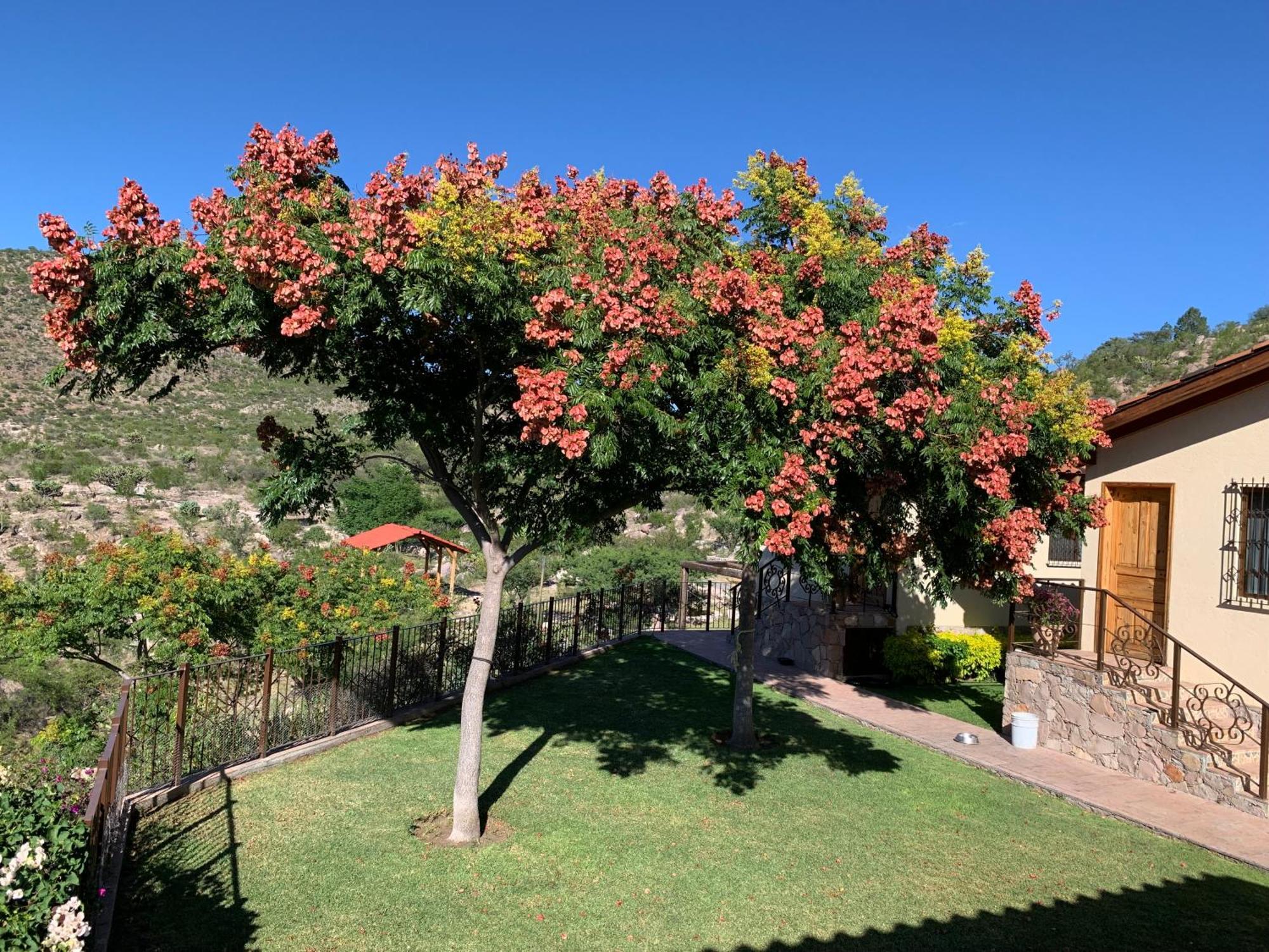 Villa Campestre La Soledad Colon المظهر الخارجي الصورة