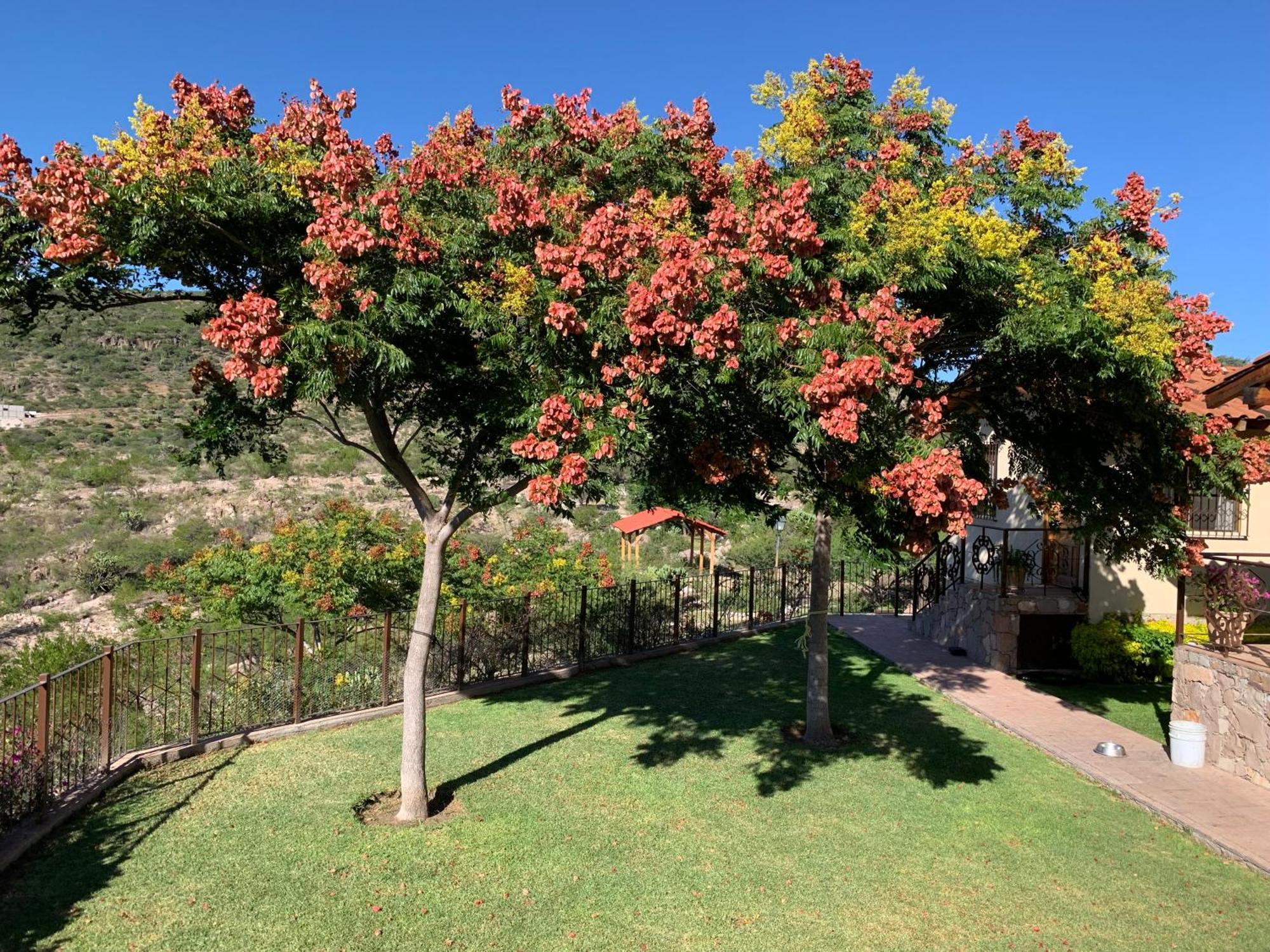Villa Campestre La Soledad Colon المظهر الخارجي الصورة
